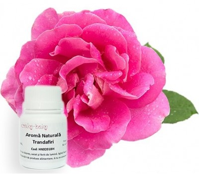 Aromă Naturală Mentă - Hidrosolubilă /30g